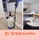 꼼꼼해서 만족했던 울산방역 출산전 방역후기