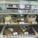 시호다영 이미지