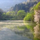 통정5로 이미지