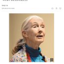 제인이화 이미지