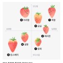 명성2농장 이미지