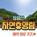 장령산자연휴양림 야영장 이미지