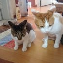 조이병원 이미지