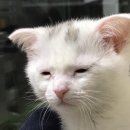 무인카페 다올