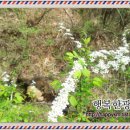 김유신한의원 이미지