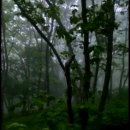 본디한의원 이미지