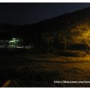 태현태권도장 | 금산사 야영장 - 부처님 마음처럼 여유로운 캠핑장