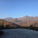 활천농장 이미지