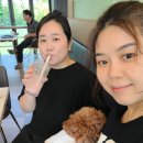 남양주 덕소 실내 애견동반카페 카페101파크뷰 내돈내산