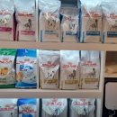 헤어샵오늘 이미지