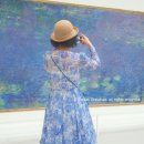 아트247 이미지