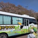 짚가공 | 전국 최초 무료 울산 철새여행버스 아이랑 탐조 후기