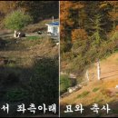 양지축사 이미지