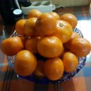 은동이네 이미지