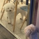 로미오미용실 이미지
