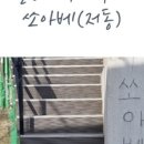 이스트독도 이미지