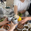 사문진교 | 아이랑 대구 가볼만한곳 사문진 피크닉장 예약방법, 명당자리, 취사가능 당일캠핑