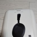 1000짱 이미지