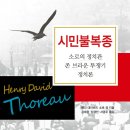 소로 1-49 이미지