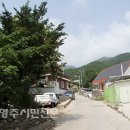 주치골사람들 이미지