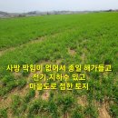 홍성 사방 막힘이 없어 종일 해가들어 작물농사가 잘 되는 토지, 축사 없음/ 2,282평 평당10만원 이미지