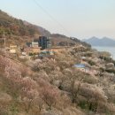 늘햇살농원 이미지