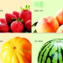 봄여름과일겨울