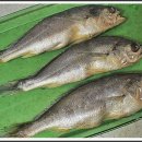 사람과 기(氣) 식품 이미지
