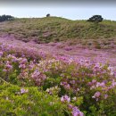 영태양광2호 이미지