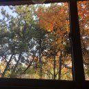 콩쥐네순두부 이미지