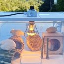 병아리펜션 이미지