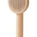 비.제이 이미지