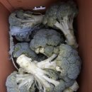 토담농장 이미지