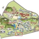 2025 OPEN KAIST 카이스트 관람 및 실험체험 , 연구실 개방 행사 총정리