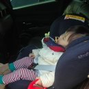 코다리촌 | 18개월 아기랑 용진읍 코다리촌 완주점