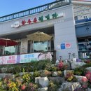 [ 블챌 3주차_남원 밥집 ] 전북 남원 맛집/육사시미&amp;육회비빔밥 솔직후기/남원 춘향테마파크 근처 맛집