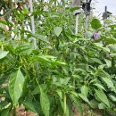 두이농장 이미지