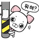 고운얼굴