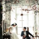 파인스튜디오 이미지
