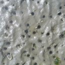 유포체험마을 이미지