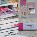 얼리유통 | 다이소 임신 테스트기 사용 후기 원포 얼리 비교 두줄