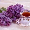 창동국빈관무도장 이미지