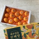 승환농장 | 제주올레시장 천혜향 제주 천혜향 선물용 과일세트 '아빠는농부다 승환이네 농장' 후기