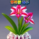 수레바퀴 이미지