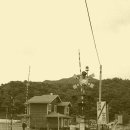 정든다방 이미지