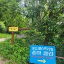 용인홀스트래킹 이미지
