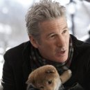 하치이야기 이미지