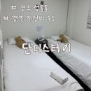 꿀잠하우스 | 2025년 리모델링한 경주 가성비 게스트하우스 단디스테이