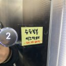 슈슈봉봉디노 이미지