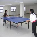 탁구 오후B 이미지